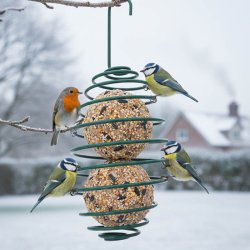 413016_fagelmatare_ talgbollar