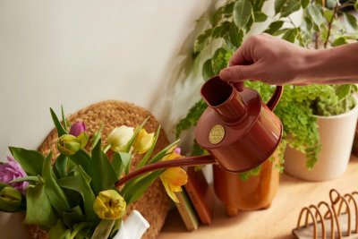 Zoom bild av 420906_Haws_fazeley_flow_terracotta_pouring