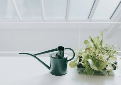 Zoom bild av 421101_Haws_Vattenkanna_The-Fazeley-Flow_Grön_1L_indoor.jpg