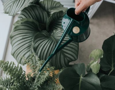 Zoom bild av 421101_Haws_Vattenkanna_The-Fazeley-Flow_Grön_1L_watering.jpg