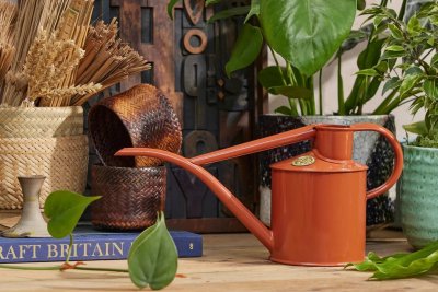 Zoom bild av 421106_Haws_fazeley_flow_terracotta_greenhouse