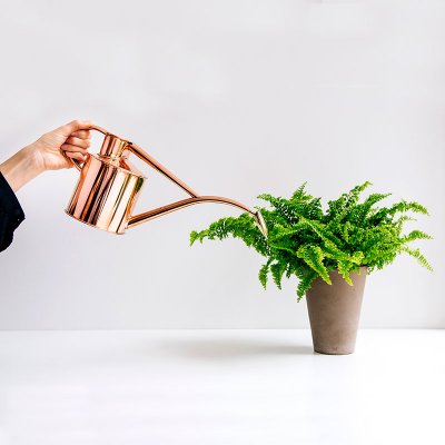 Zoom bild av 421501-vattenkanna-koppar-haws-1-l