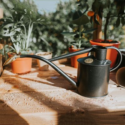 Zoom bild av 421507-vattenkanna-haws-rowley-ripple-grafit-1.jpg