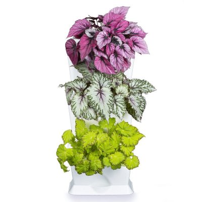 Zoom bild av 432001 Minigarden One Vit