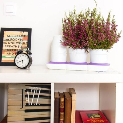 435001-minigarden-basic-sjalvvattnande-kruka