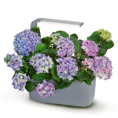 Zoom bild av 436002-t6-kitchen-garden-inomhusodling-gra