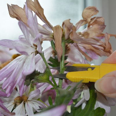 Zoom bild av 462003-snip-it-liten-tradgardssax-gul